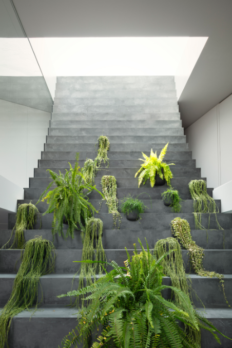 stairway_house40_takumi_ota