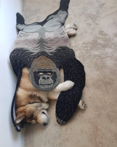 Designers, Workspace & Their Pet 15