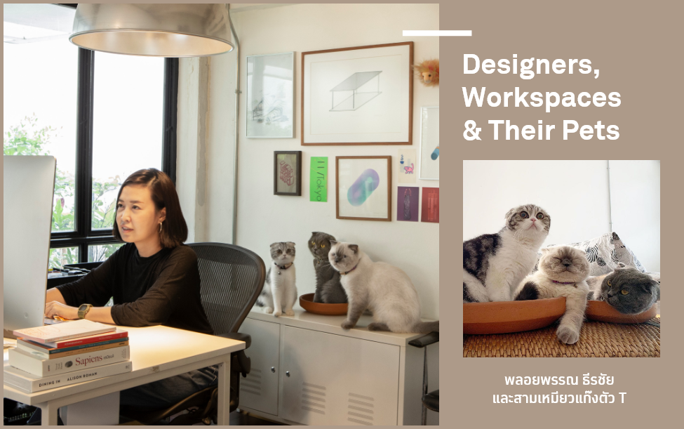 Designers, Workspace & Their Pet 18