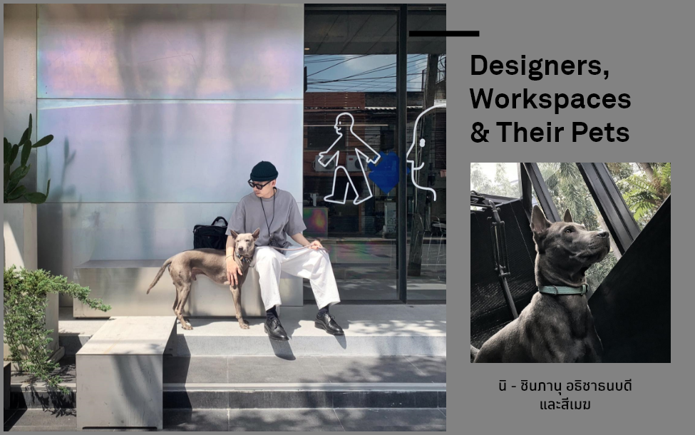 Designers, Workspace & Their Pet 2