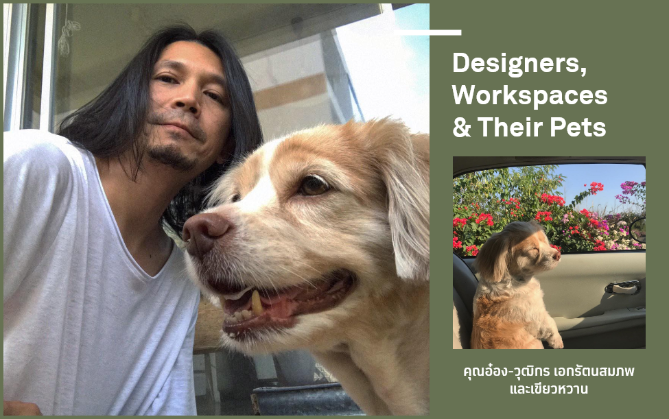 Designers, Workspace & Their Pet 23