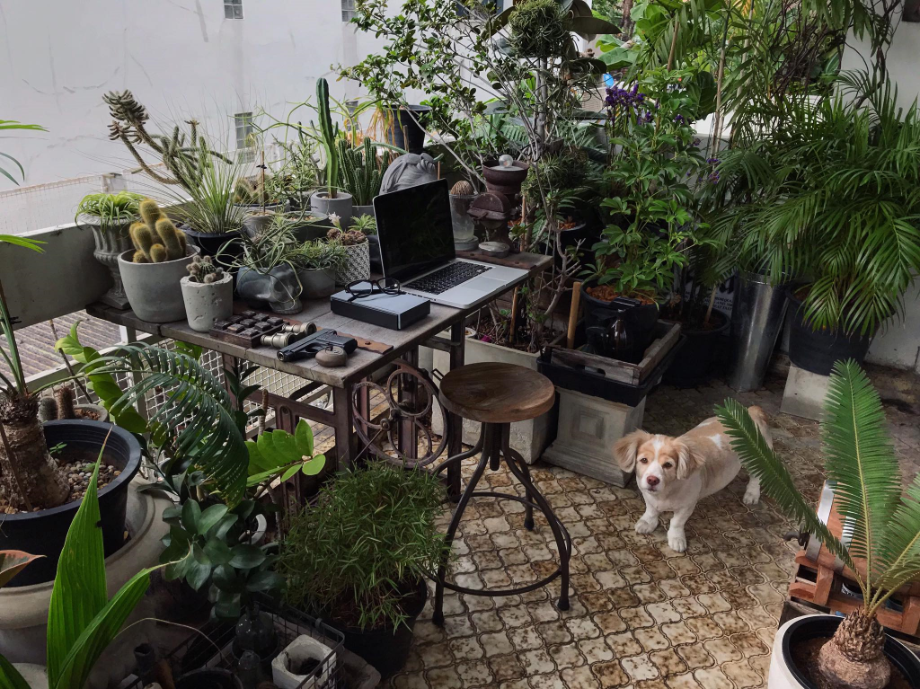 Designers, Workspace & Their Pet 24
