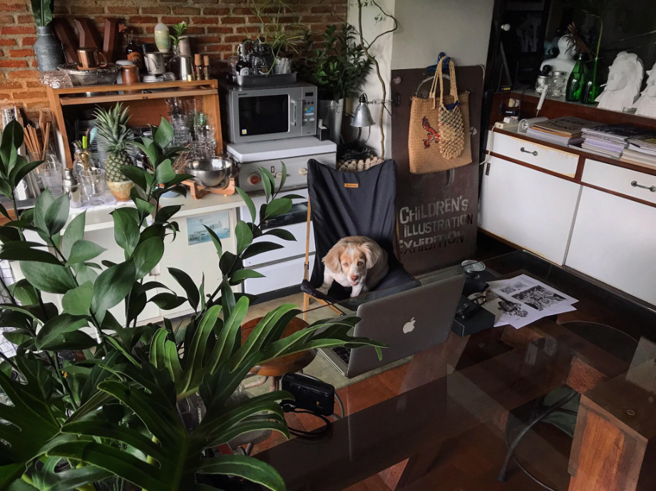 Designers, Workspace & Their Pet 27