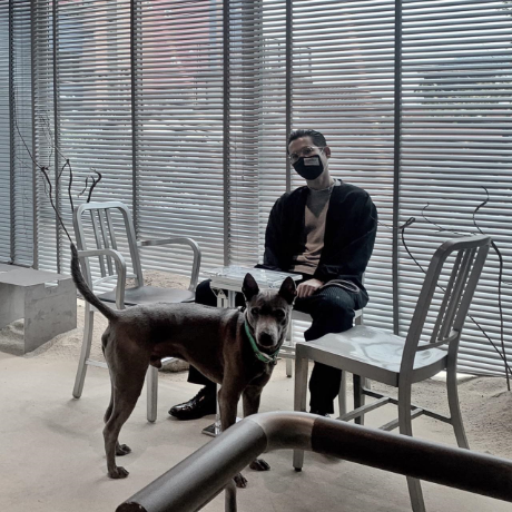 Designers, Workspace & Their Pet 3