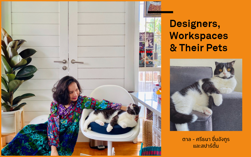 Designers, Workspace & Their Pet 7