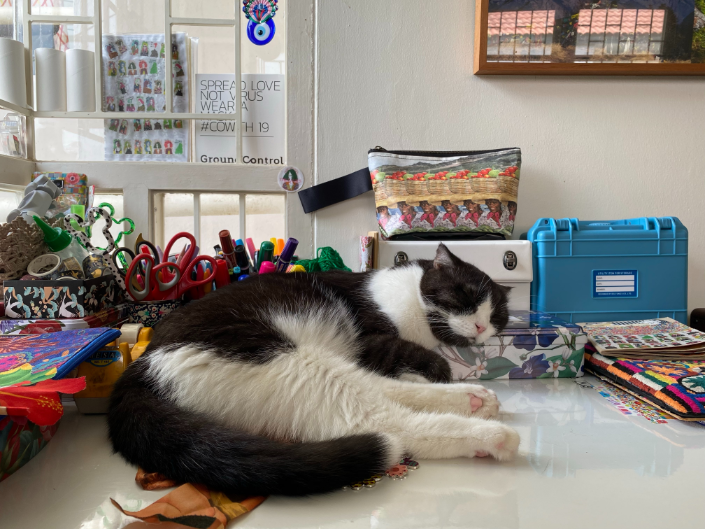 Designers, Workspace & Their Pet 9