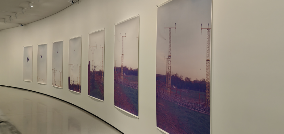28.1.Concorde L449-19, 21, 22, 23, 25, 27, 28, (1997) Wolfgang Tillmans