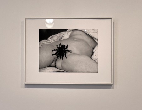 29.Replace Me (2011) Rosemarie Trockel
