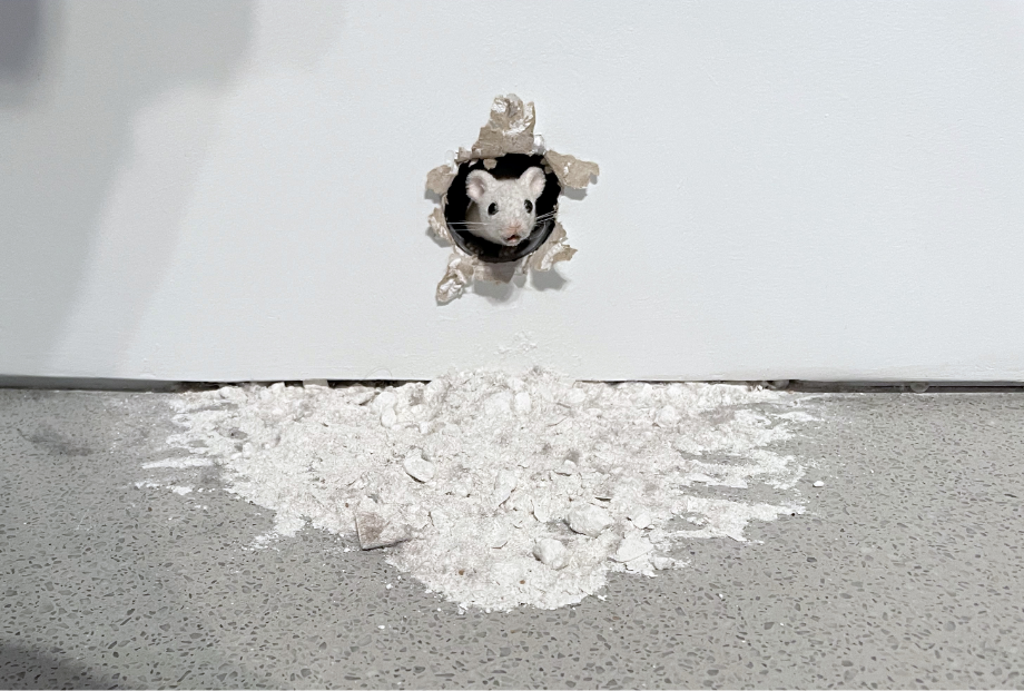 41.Ever After A Trilogy (I... I... I...) (2019) Ryan Gander