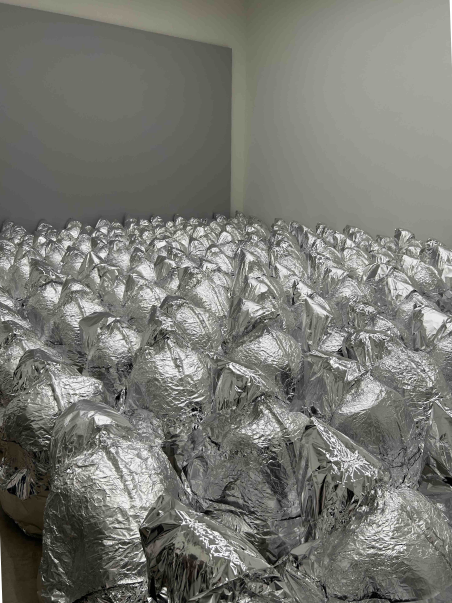 Kader Attia - 05